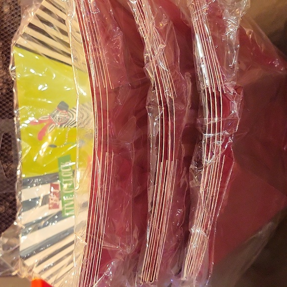 Hot Pink, Lime Green and Zebra Holiday Paper Bowls by Pier 1 Set of 12 - Picture 6 of 6